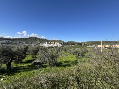 Viale Magna Grecia - Catanzaro