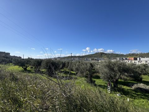 Viale Magna Grecia - Catanzaro