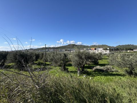 Viale Magna Grecia - Catanzaro