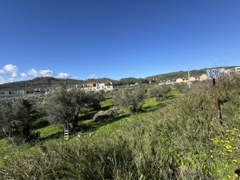 Viale Magna Grecia - Catanzaro