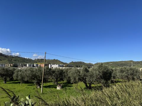 Viale Magna Grecia - Catanzaro