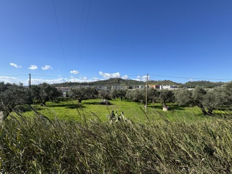 Viale Magna Grecia - Catanzaro