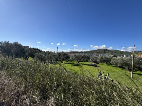 Viale Magna Grecia - Catanzaro