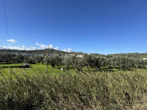 Viale Magna Grecia - Catanzaro