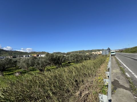 Viale Magna Grecia - Catanzaro