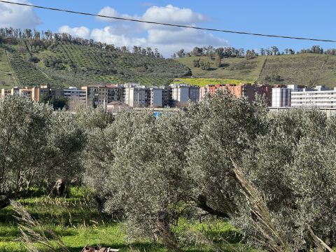 Viale Magna Grecia - Catanzaro