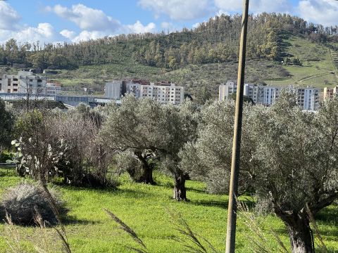 Viale Magna Grecia - Catanzaro