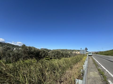 Viale Magna Grecia - Catanzaro