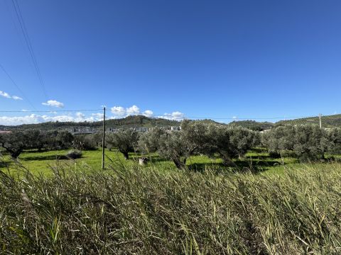 Viale Magna Grecia - Catanzaro