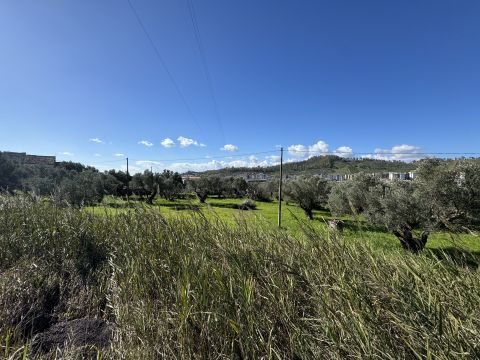 Viale Magna Grecia - Catanzaro