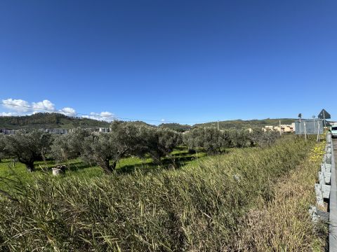 Viale Magna Grecia - Catanzaro