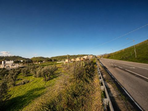 Viale Magna Grecia - Catanzaro