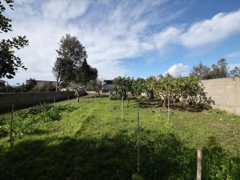 Via Mesagne - San Donaci