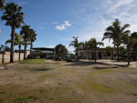 Via Mesagne - San Donaci