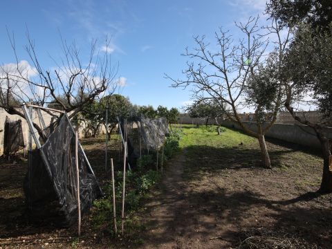 Via Mesagne - San Donaci