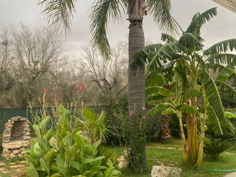 S.P. Supersano/Scorrano - Contrada Montinati - Supersano