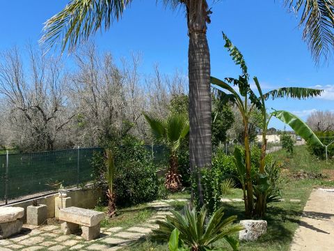 S.P. Supersano/Scorrano - Contrada Montinati - Supersano