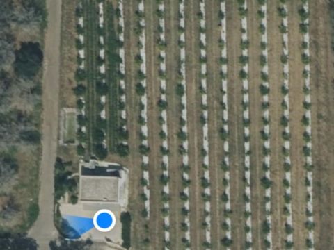 S.P. Supersano/Scorrano - Contrada Montinati - Supersano