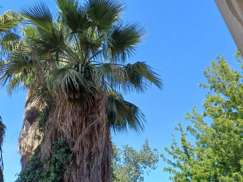 Via Vittorio Emanuele da Bormida, 45 - Catania