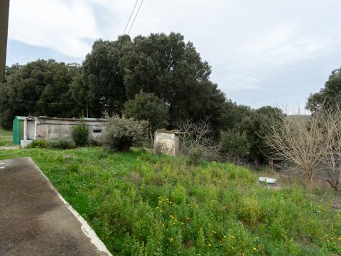 Via di Quarrata, 13 - Livorno