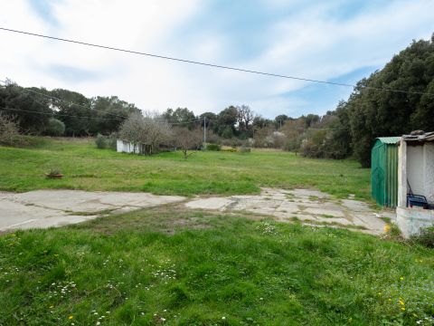 Via di Quarrata, 13 - Livorno