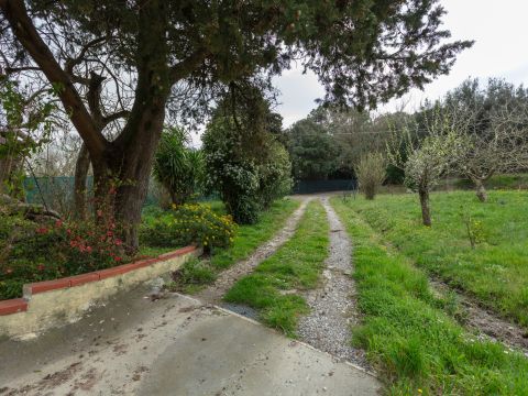 Via di Quarrata, 13 - Livorno