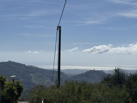 Via Paolo Emilio Tulelli - Catanzaro