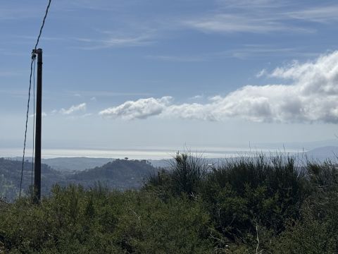 Via Paolo Emilio Tulelli - Catanzaro