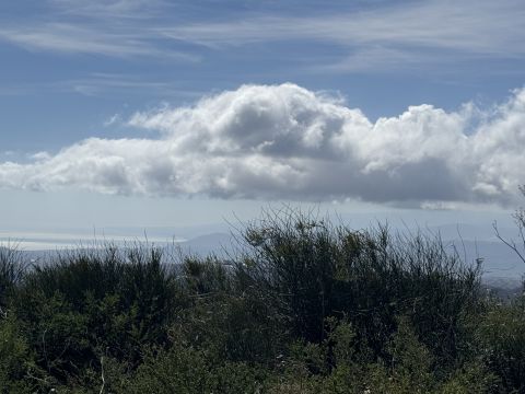 Via Paolo Emilio Tulelli - Catanzaro