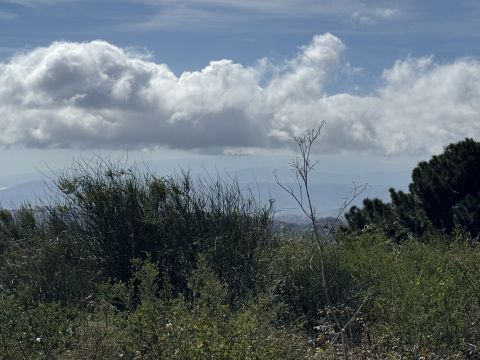 Via Paolo Emilio Tulelli - Catanzaro