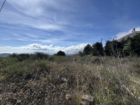 Via Paolo Emilio Tulelli - Catanzaro