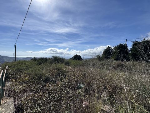 Via Paolo Emilio Tulelli - Catanzaro