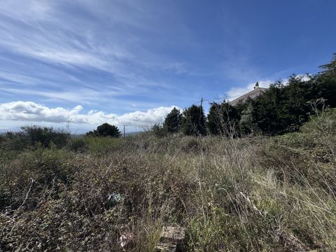 Via Paolo Emilio Tulelli - Catanzaro