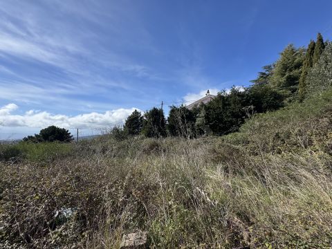 Via Paolo Emilio Tulelli - Catanzaro