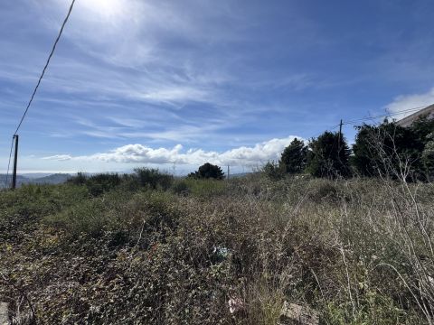 Via Paolo Emilio Tulelli - Catanzaro