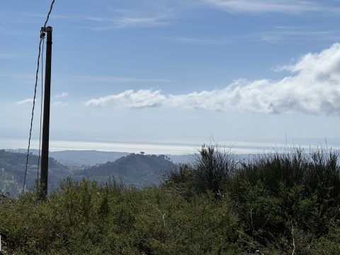 Via Paolo Emilio Tulelli - Catanzaro