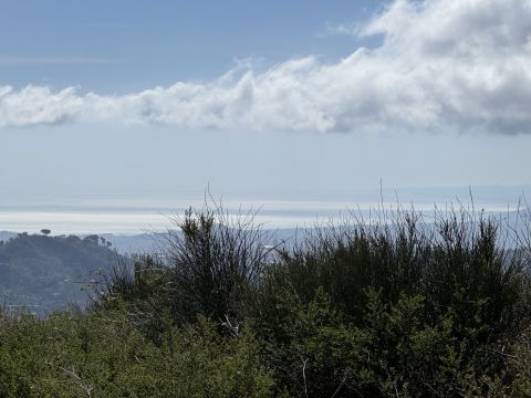 Via Paolo Emilio Tulelli - Catanzaro