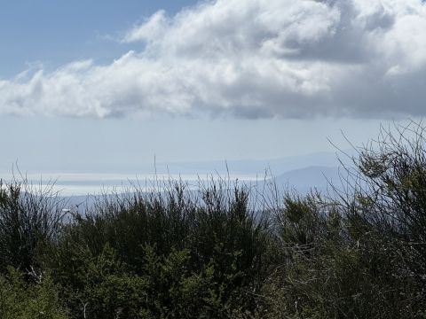 Via Paolo Emilio Tulelli - Catanzaro