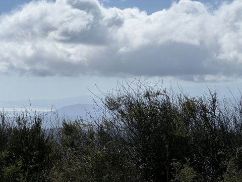 Via Paolo Emilio Tulelli - Catanzaro