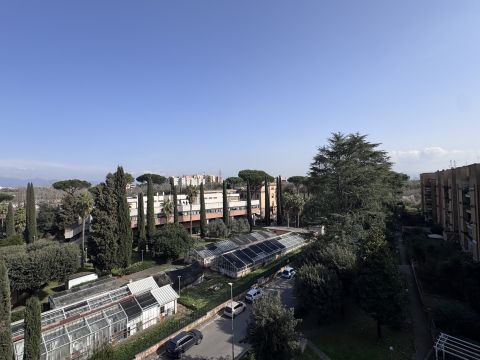 Via Carlo Giuseppe Bertero, 37 - Roma