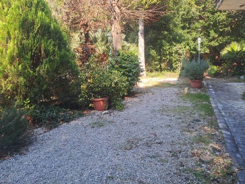 Via Pineta, 12 - Poggio Catino