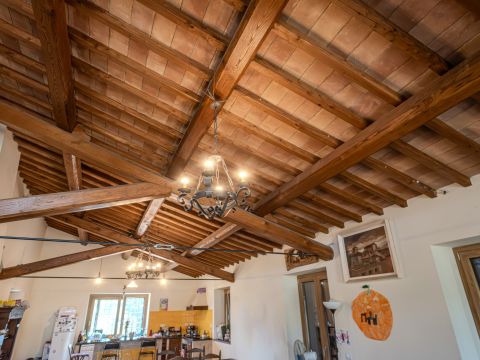 Strada Della Poggetta - Castiglione In Teverina