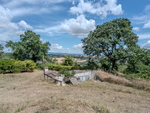 Strada Della Poggetta - Castiglione In Teverina