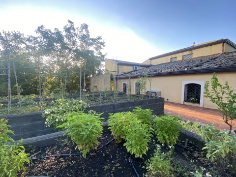 via Millicucco - Piedimonte Etneo