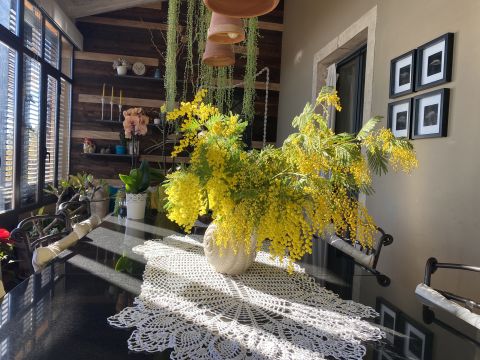 via Millicucco - Piedimonte Etneo