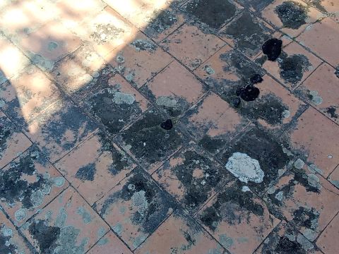 Vico Giuseppe Giusti - Gioiosa Ionica