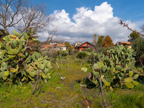 Via Tremonti, 18 - Pedara