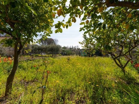 Via Tremonti, 18 - Pedara