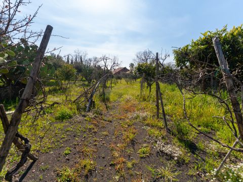 Via Tremonti, 18 - Pedara