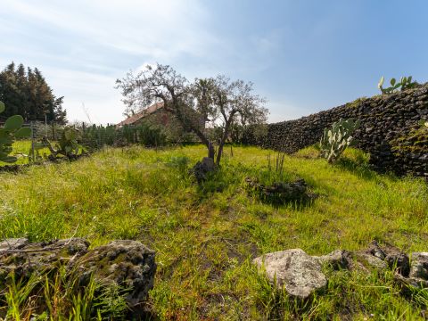 Via Tremonti, 18 - Pedara